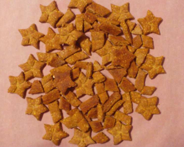Vegetarian on sale dog biscuits